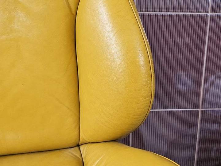Piele galbenă — reparare și vopsire